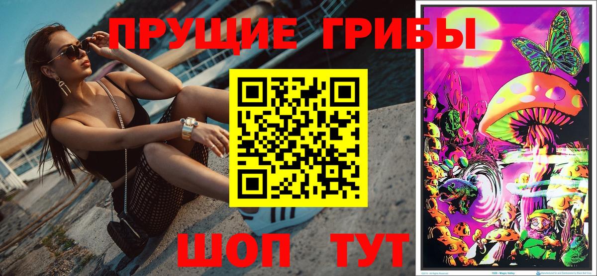 Псилоцибиновые грибы Psilocybine cubensis Тулун